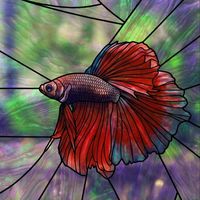 Betta Fish in Crimson and Amethyst