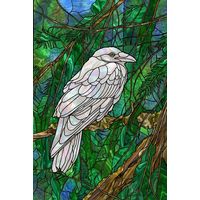 White Raven in an Evergreen Forest