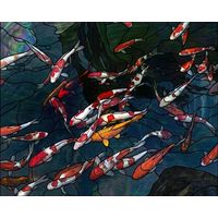 Koi Pond in Motion