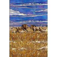 Lions in the Golden Savannah