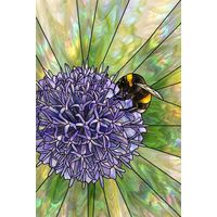 Bumblebee on Purple Allium