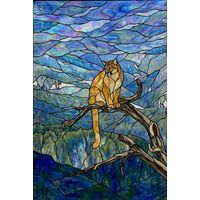 Mountain Lion on Branch