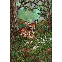 Fawn Resting in a Forest Glade