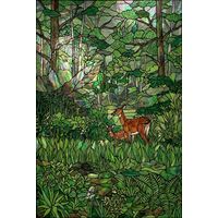 Doe and Fawn in Forest Clearing