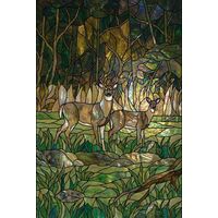 Stag and Doe in the Forest
