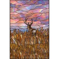 Buck in Golden Meadow at Twilight