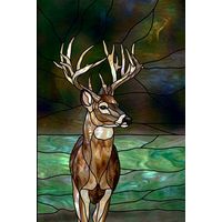 Majestic Buck in the Forest