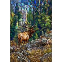 Elk in a Mountain Forest
