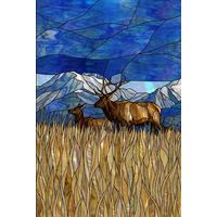 Elk Pair in Mountain Meadow