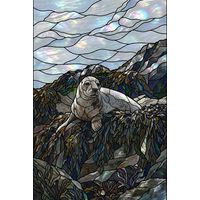 Resting Harbor Seal on Coastal Rocks