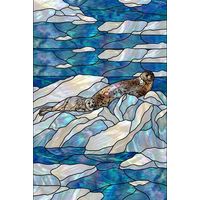 Arctic Seals on Ice Floes
