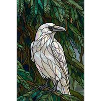 White Raven in Pine Branches