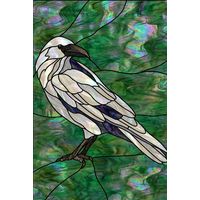 White Raven in Emerald Woods