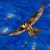 Peregrine Falcon in Flight