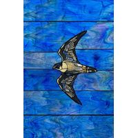 Peregrine Falcon in Flight
