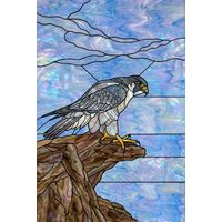 Peregrine Falcon Perched on Driftwood