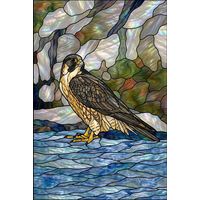 Peregrine Falcon in Iridescent Light