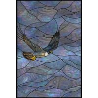 Peregrine Falcon in Flight