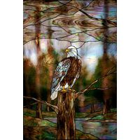 American Eagle Perched in Woodland