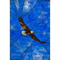 Majestic Soaring American Eagle