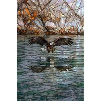 Bald Eagle Over Reflective Waters
