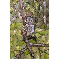 Great Horned Owl in the Forest