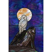 Snowy Owl at Midnight