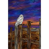 Snowy Owl Perched at Sunset
