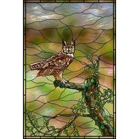 Great Horned Owl Perched in Forest
