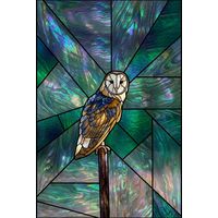 Barn Owl at Dusk