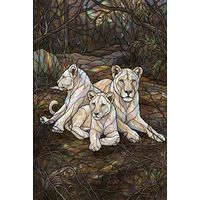 Lioness Pride in the Forest