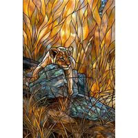 Lion Cub Resting in Tall Grass