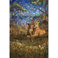 Lioness and Cub in Golden Grasses
