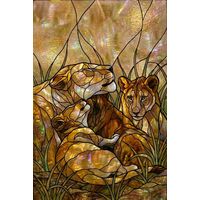 Lioness and Cubs in the Wild