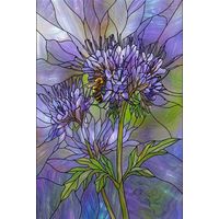 Bee on Purple Phacelia Blossoms