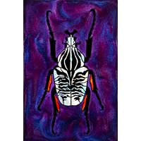 Iridescent Zebra Beetle