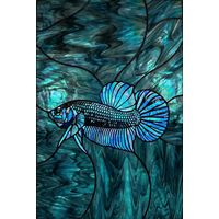 Betta Fish in Shimmering Teal