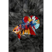 Betta Fish in Vibrant Hues