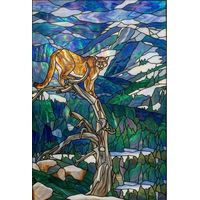 Mountain Cougar in the Wild