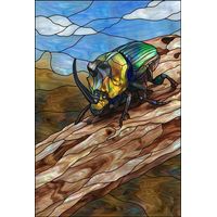 Iridescent Rhinoceros Beetle on Bark