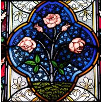Rose Bush in Cobalt Medallion