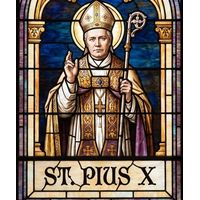 Saint Pius X in Vestments