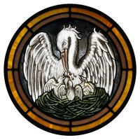 The Pelican Symbol